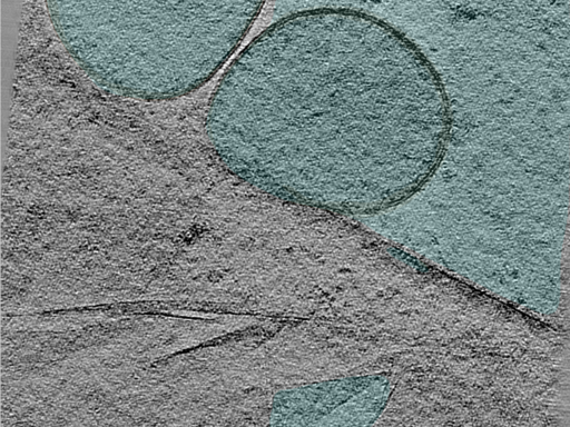 key visualization for 24may06a_Position_52