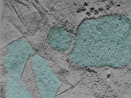 key visualization for 24may06a_Position_52_3