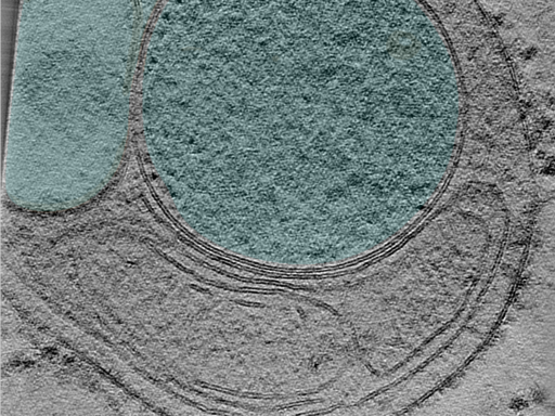 key visualization for 24may06a_Position_54