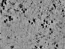 key visualization for TS_109_3