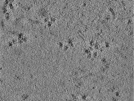 key visualization for TS_109_3