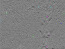 key visualization for TS_112_6