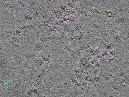 key visualization for TS_100_4
