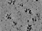 key visualization for TS_101_7