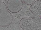 key visualization for TS_104_2