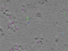 key visualization for TS_104_3