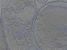 key visualization for 24oct15b_Position_21