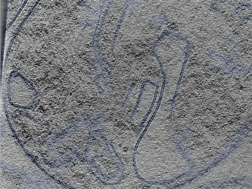 key visualization for 24oct15b_Position_5_2