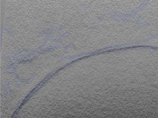 key visualization for 24oct15b_Position_6