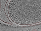 key visualization for 24nov27a_Position_107