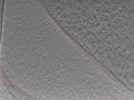 key visualization for 24nov27a_Position_16