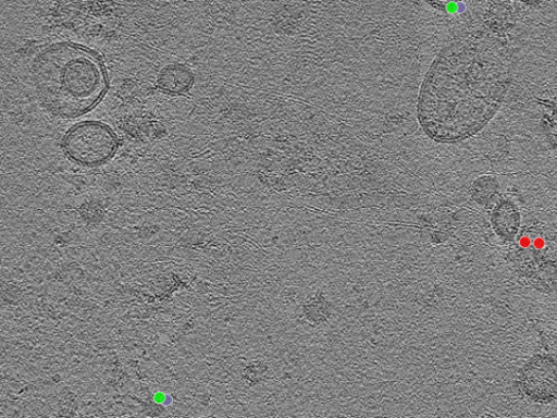key visualization for tomogram_022