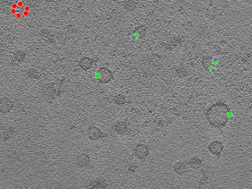 key visualization for tomogram_108