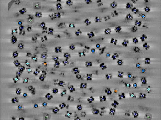 key visualization for seed1001549129-20250905-224414