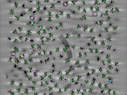 key visualization for seed1003851441-20250907-130600