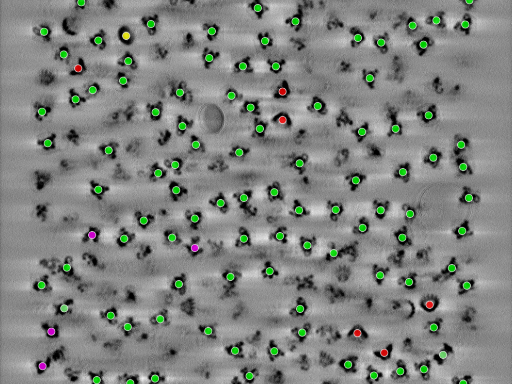 key visualization for seed1005335848-20250907-195646