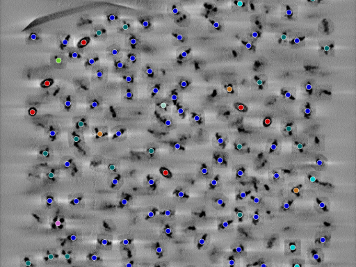 key visualization for seed100548300-20250904-052008
