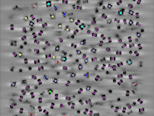 key visualization for seed1005598883-20250906-132154