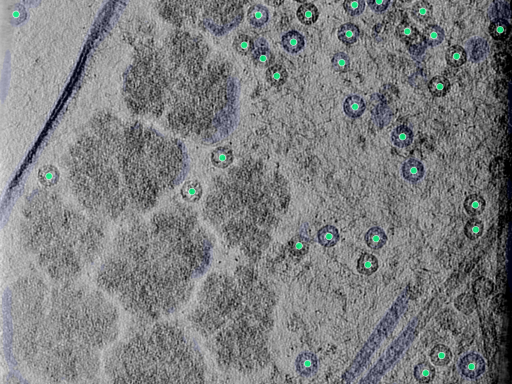 key visualization for 25aug25a_Position_10