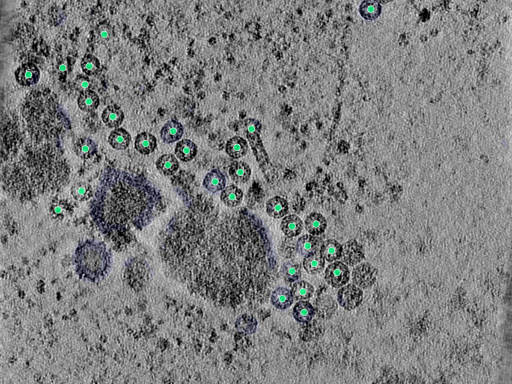 key visualization for 25aug25a_Position_100