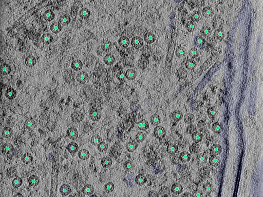 key visualization for 25aug25a_Position_101_2