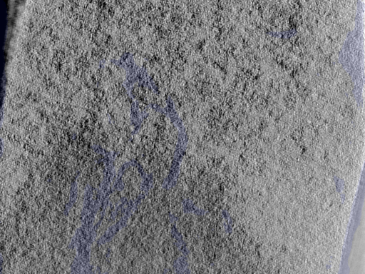 key visualization for 25aug25a_Position_102