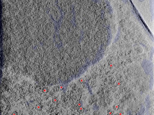 key visualization for 25aug25a_Position_102_2