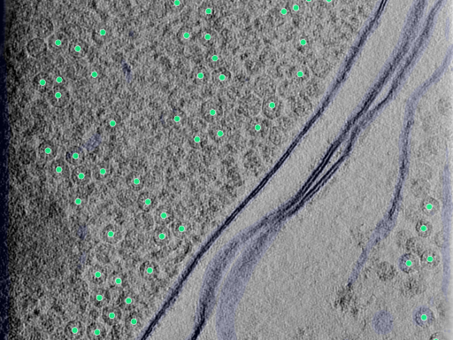 key visualization for 25aug25a_Position_104