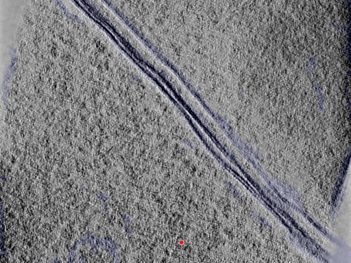 key visualization for 25aug25a_Position_104_3