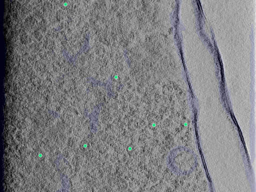 key visualization for 25aug25a_Position_105_2