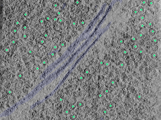 key visualization for 25aug25a_Position_106_2