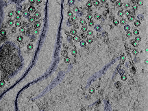 key visualization for 25aug25a_Position_97_2