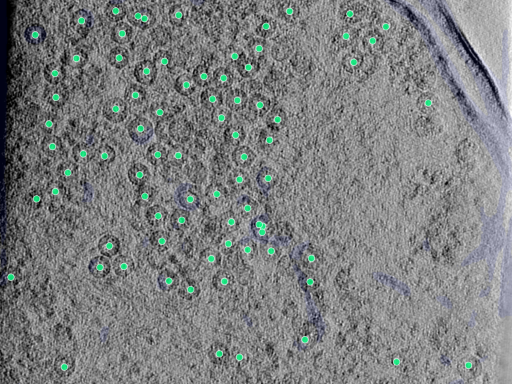 key visualization for 25aug25a_Position_98