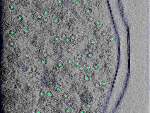 key visualization for 25aug25a_Position_99