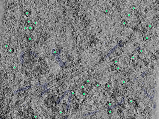 key visualization for 25aug25a_Position_99_2