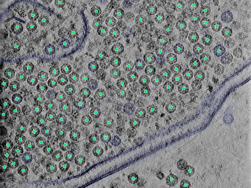 key visualization for 25aug25a_Position_9_3