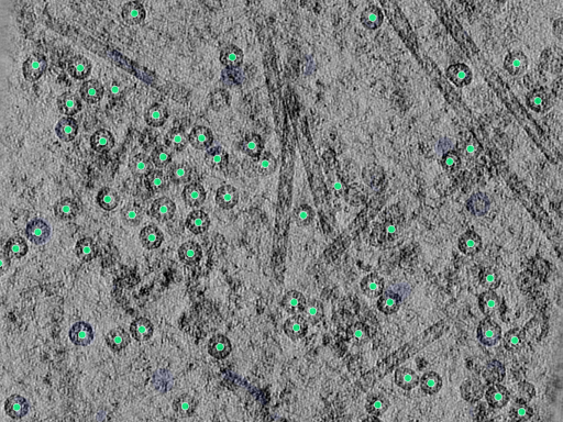 key visualization for PP7 virus-like particles in E.Coli at 3.3 Å