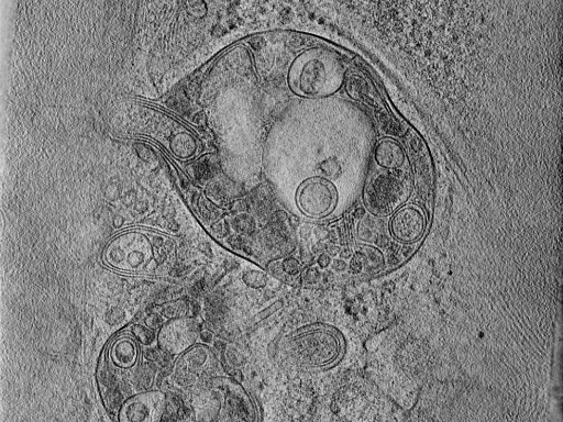 key visualization for 25jul30a_Position_3