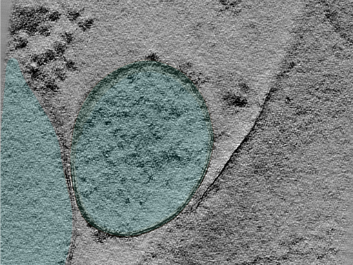 key visualization for 24apr03a_Position_100_12