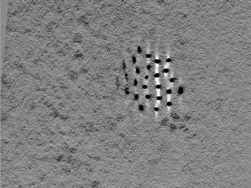 key visualization for 24apr03a_Position_100_2