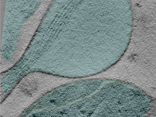 key visualization for 24apr03a_Position_100_4