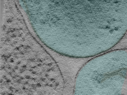 key visualization for 24apr03a_Position_102_14