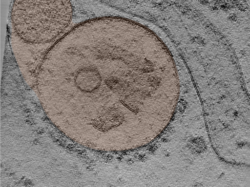 key visualization for 24jun17a_Position_10