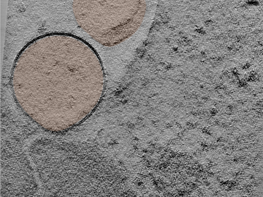 key visualization for 24jun17a_Position_10_4