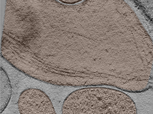 key visualization for 24jun17a_Position_10_6