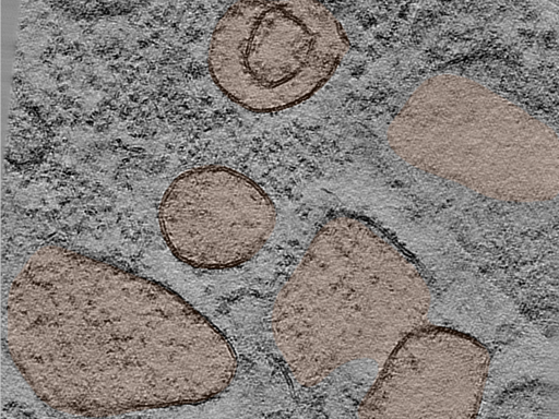 key visualization for 24jun17a_Position_11