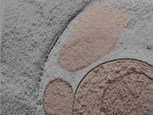 key visualization for 24jun17a_Position_11_9