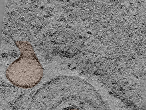 key visualization for 24jun17a_Position_12_3