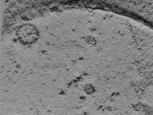 key visualization for 24jun17a_Position_12_4