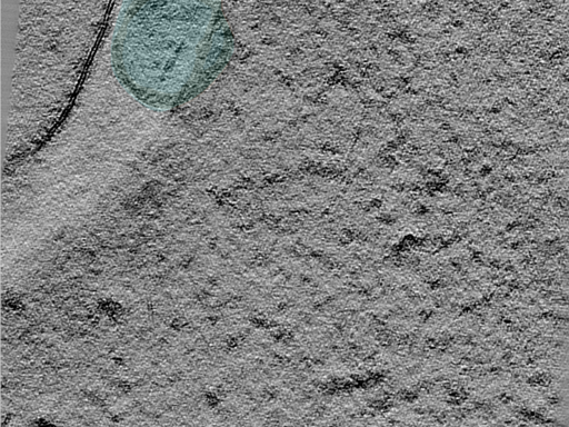 key visualization for 24jun18a_Position_10_2